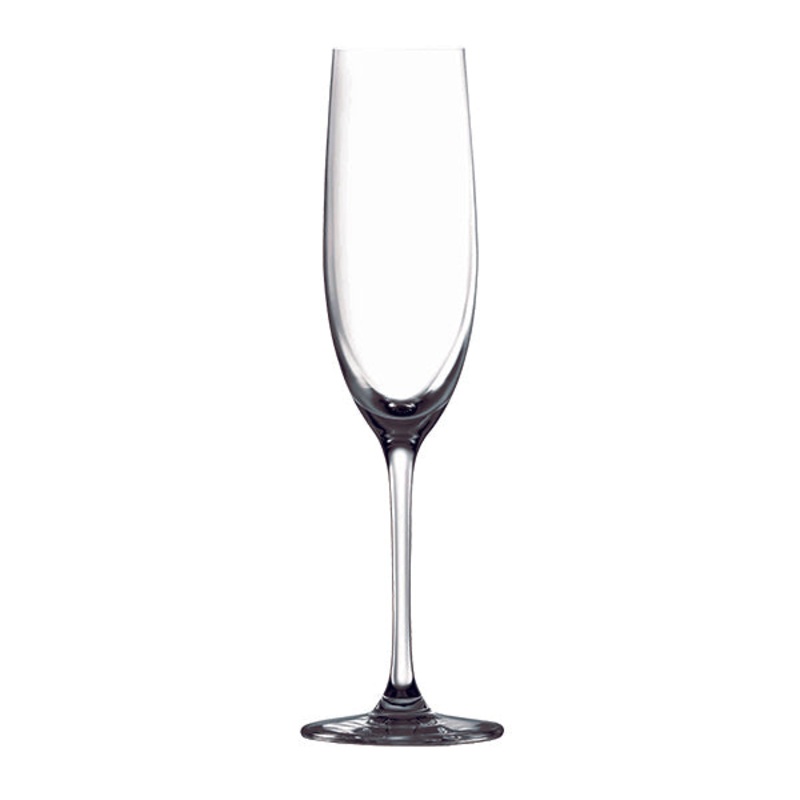 Tempo Champagne Flute - 180ml: Pack of 6