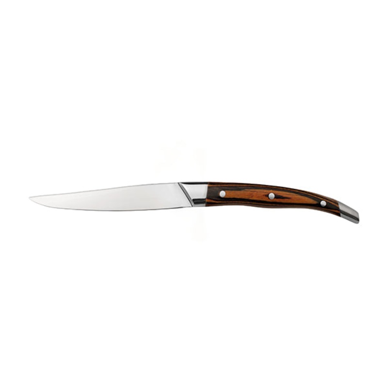 Lacrox Steak Knife - Pistache Handle: Pack of 6