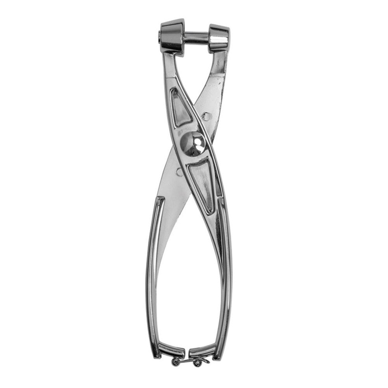Avanti Cherry and Olive Pitter